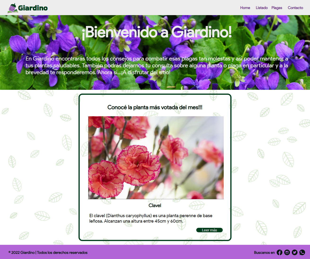 Giardino, Proyecto_Plantas